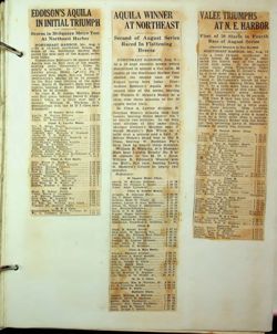 6751dbd36a8911.47839815.pdf page 16