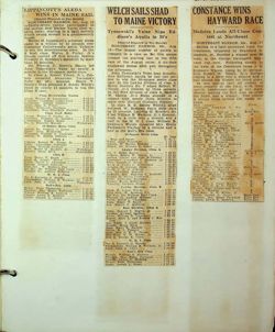 6751dbd36a8911.47839815.pdf page 17