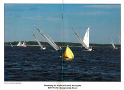 6751ddaf11a2b3.78288651.pdf page 44