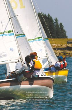 6751ddc1e980e8.23771236.pdf page 51