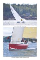 6751ddc9087214.65112505.pdf page 49
