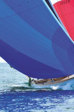 6751ddcde07bd1.39911100.pdf page 44