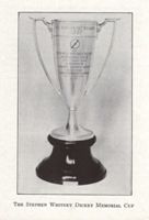 6751ddd49662b4.34697670.pdf page 45