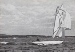 6751ddd7633828.70010081.pdf page 31