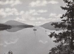 6751dddbe7b9d3.18530201.pdf page 10