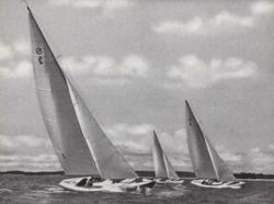 6751dddbe7b9d3.18530201.pdf page 23