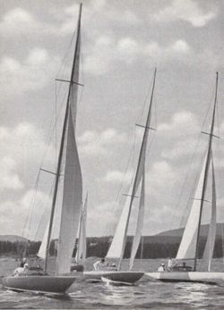 6751dddbe7b9d3.18530201.pdf page 26