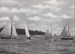 6751dddbe7b9d3.18530201.pdf page 30