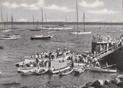 6751dddbe7b9d3.18530201.pdf page 56