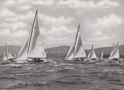 6751dddbe7b9d3.18530201.pdf page 85