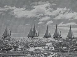 6751ddddb27693.50477632.pdf page 3