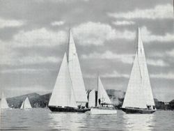 6751ddddb27693.50477632.pdf page 13