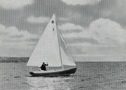 6751ddddb27693.50477632.pdf page 19