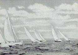 6751ddddb27693.50477632.pdf page 36