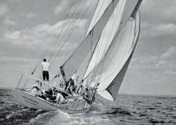 6751ddde191e24.10675889.pdf page 19