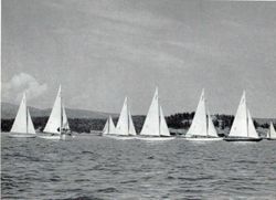 6751ddde191e24.10675889.pdf page 33