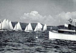 6751dddfd65793.67537278.pdf page 3