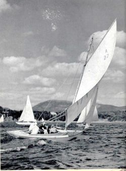 6751dddfd65793.67537278.pdf page 13