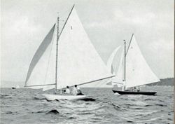 6751dddfd969b5.75012833.pdf page 13