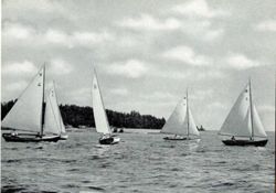 6751dddfd969b5.75012833.pdf page 31