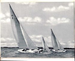 6751dde0d0b420.64464441.pdf page 13