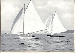 6751dde0d0b420.64464441.pdf page 40