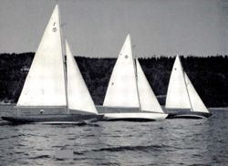 6751dde3f3d3f2.09961308.pdf page 6