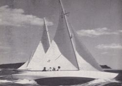 6751dde3f3d3f2.09961308.pdf page 17