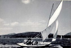 6751dde3f3d3f2.09961308.pdf page 39