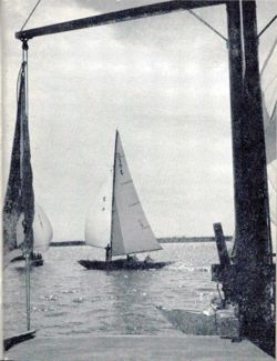 6751dde53d9e34.50298749.pdf page 6