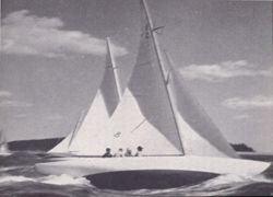 6751dde6459a17.71697934.pdf page 19