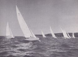 6751dde6459a17.71697934.pdf page 65