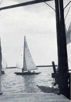 6751dde6459a17.71697934.pdf page 72