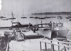 6751ddf272cb36.37244988.pdf page 6