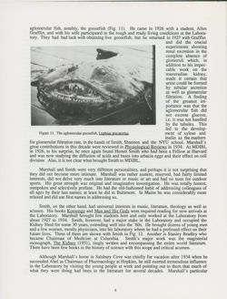 6751f25eb16e12.87117748.pdf page 11