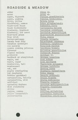 6751f285adf167.05239512.pdf page 2