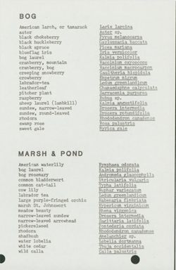 6751f285adf167.05239512.pdf page 3