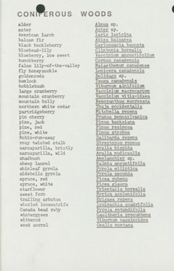 6751f285adf167.05239512.pdf page 4