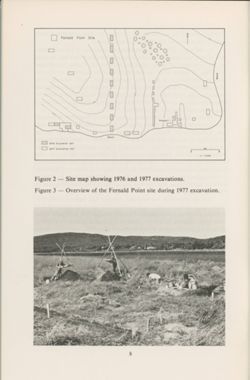 6751f370308fe8.66201465.pdf page 10