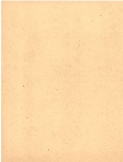 6751f95c900fc6.95048929.pdf page 20