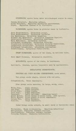 6751fcc0d6b010.82960284.pdf page 3