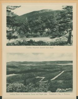 6752003bd5bf09.82157709.pdf page 4