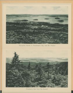 6752003bd5bf09.82157709.pdf page 5