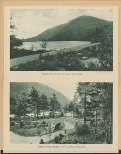 6752003bd5bf09.82157709.pdf page 6