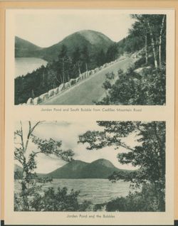 6752003bd5bf09.82157709.pdf page 7