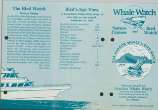 Whale Watch, Nature Cruises, and Bird Watch