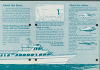 675210e9f26dd3.90405382.pdf page 2