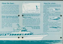 675210e9f26dd3.90405382.pdf page 2