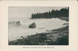 675211c3285753.65067080.pdf page 7