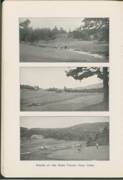 675211c3285753.65067080.pdf page 13